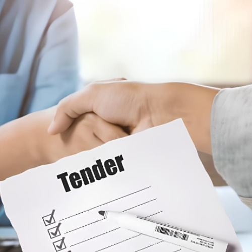 Tender və Sığorta üzrə Kiçik Mütəxəssis